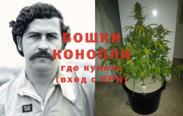 кокаин колумбия Богданович